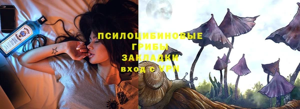 шишки Алексеевка
