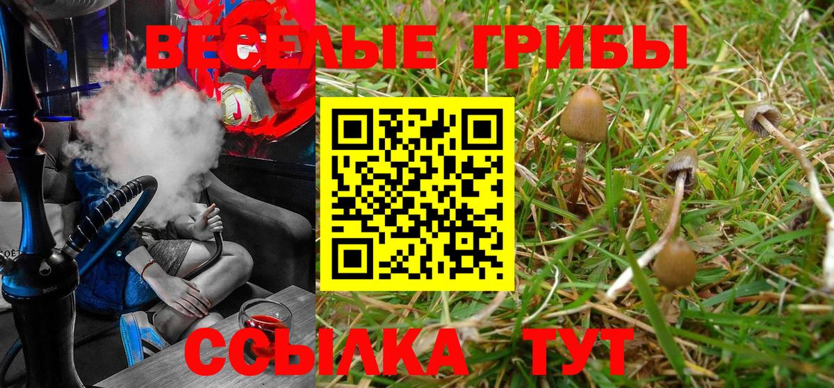 Курганинск  Галлюциногенные грибы Magic Shrooms  Вход с VPN 